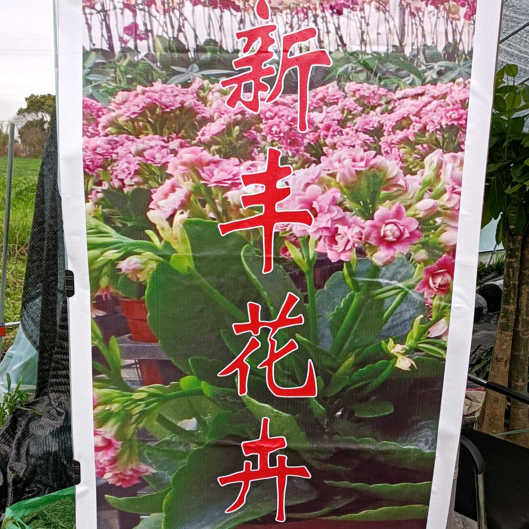 优尚花卉，绿植，花盆，租摆，批发零售