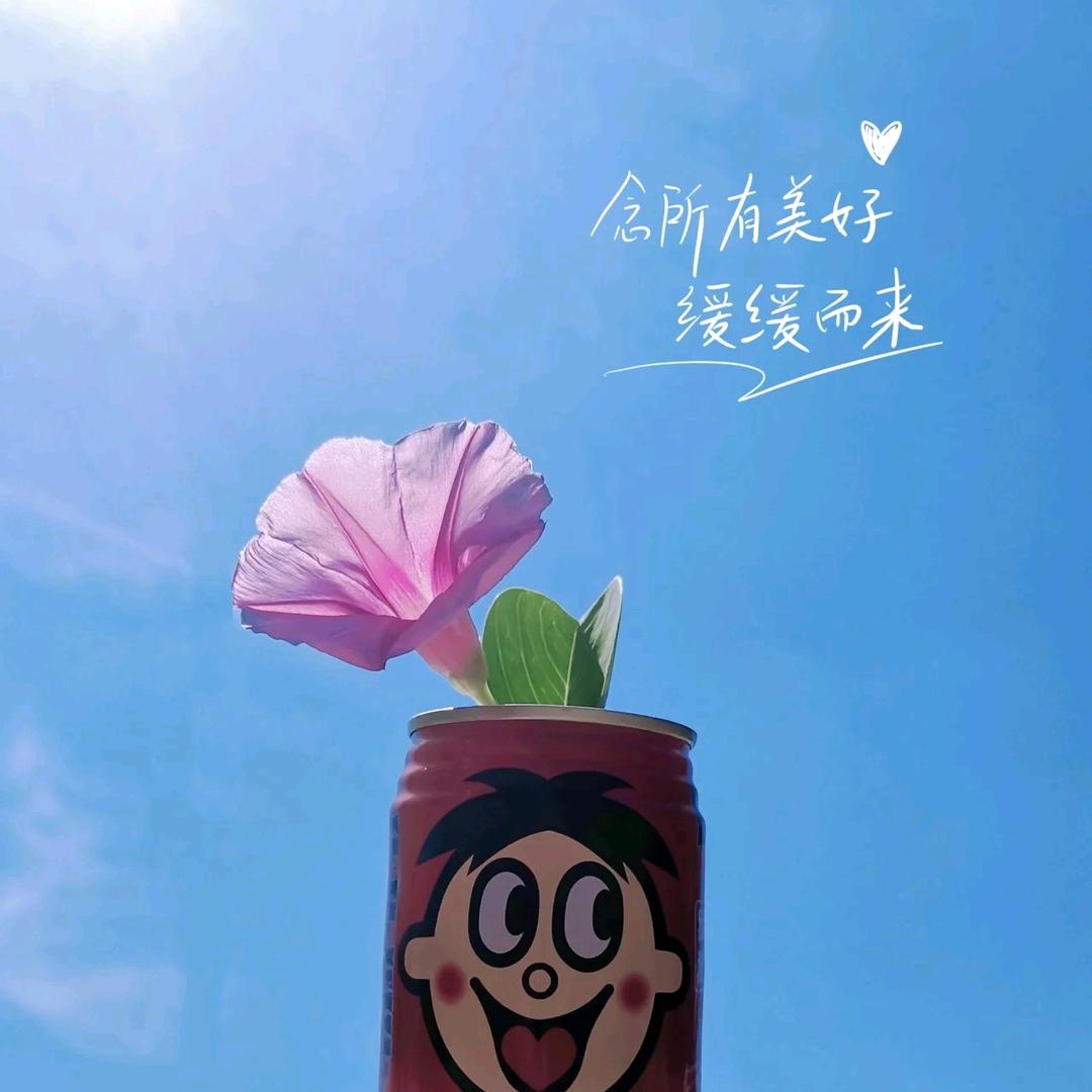 霂歆
