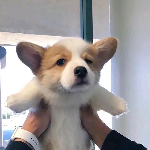 琦锐设计