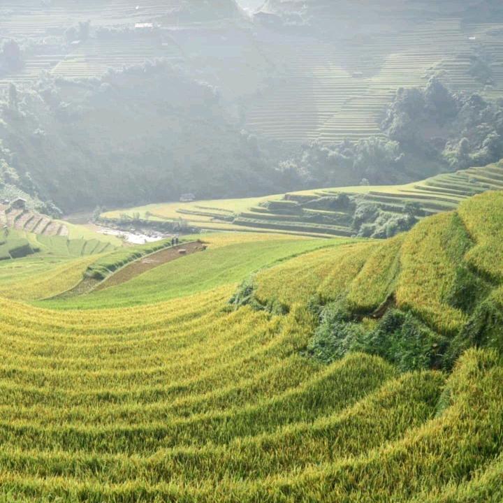 彩寻