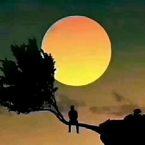 所有的最好 ，都不如刚刚好