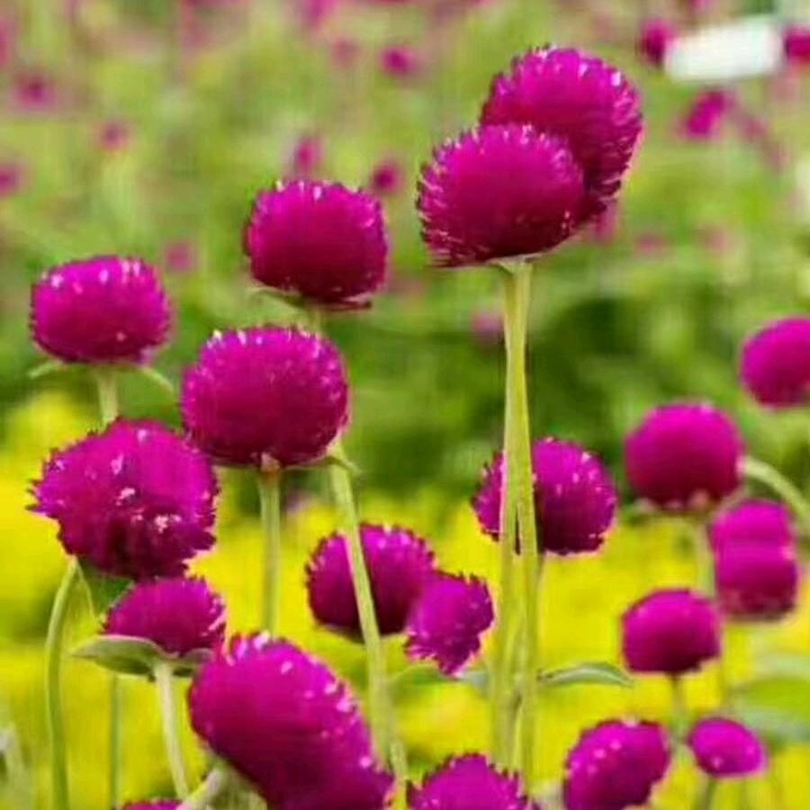 开心就好😄👍🙏🙏