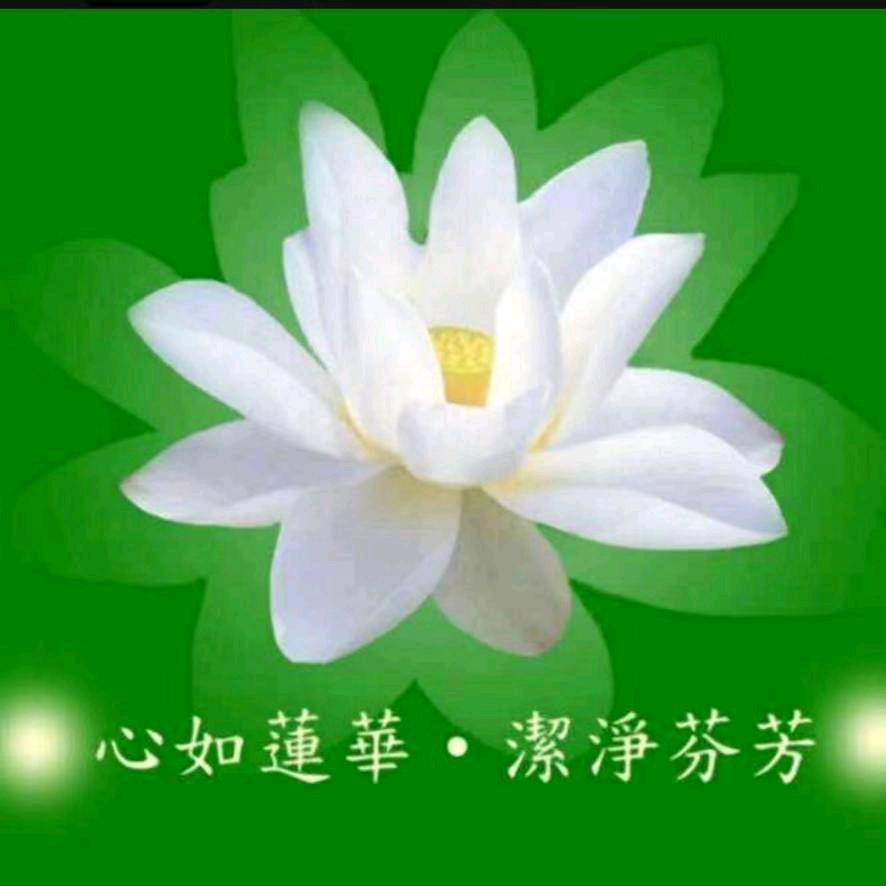 缘中仙