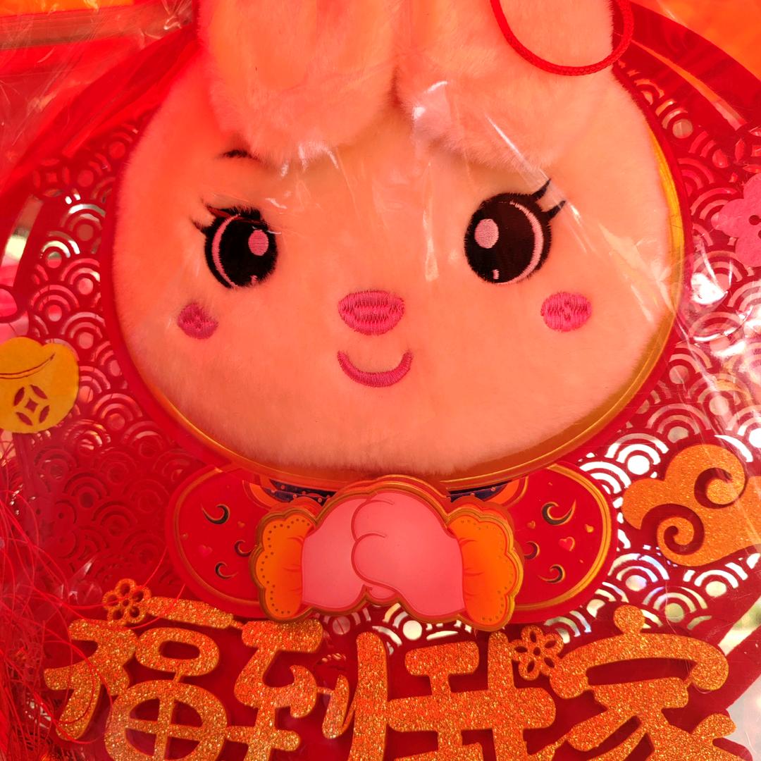 命中注定的王
