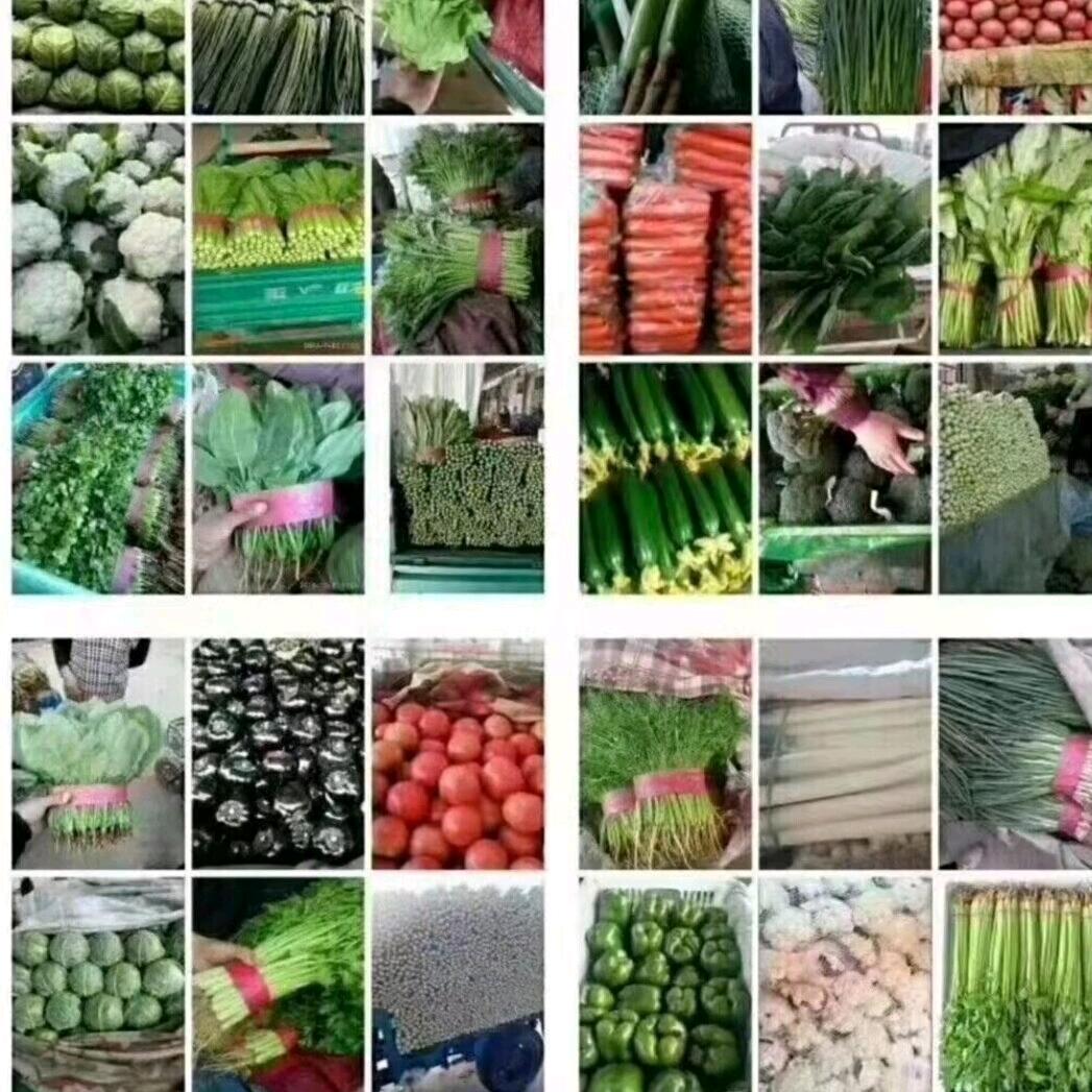 莘县瓜果蔬菜供应链