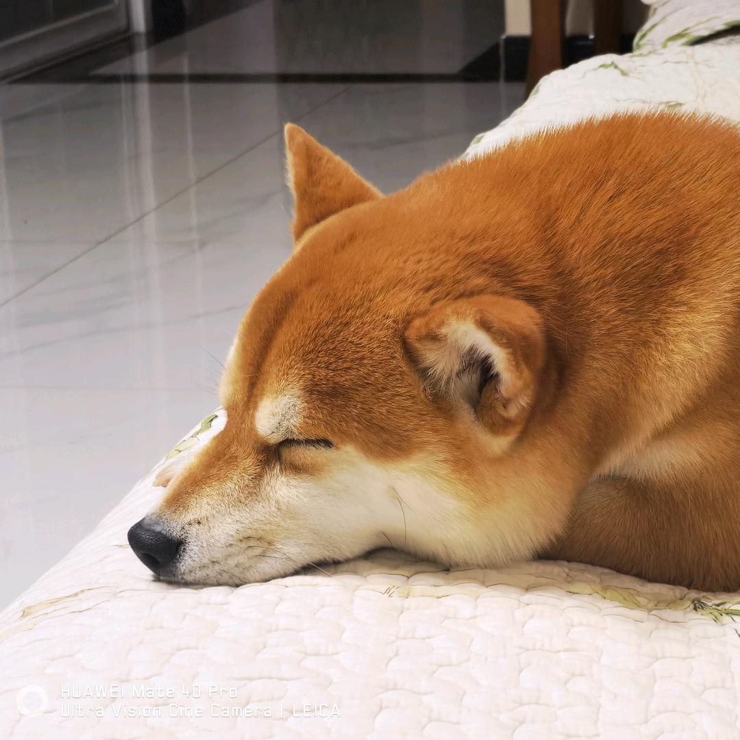 拾光