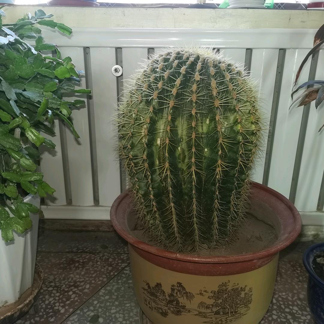 遇上你是我的缘