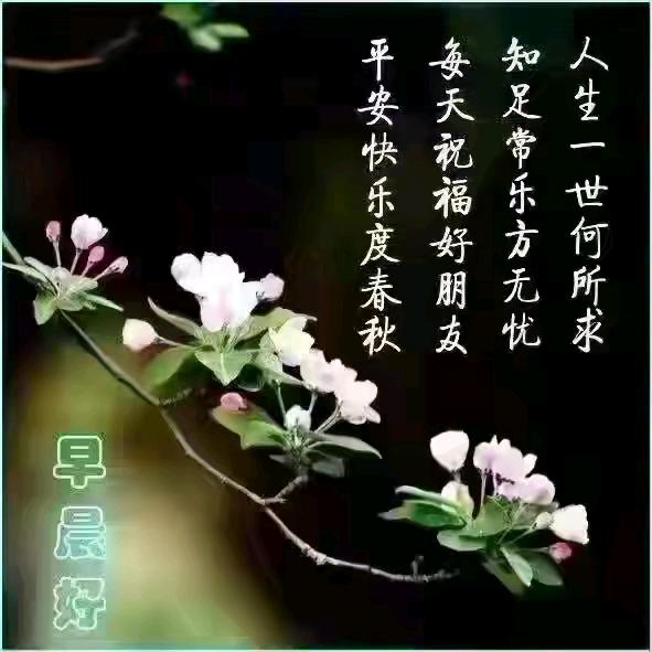 起飞