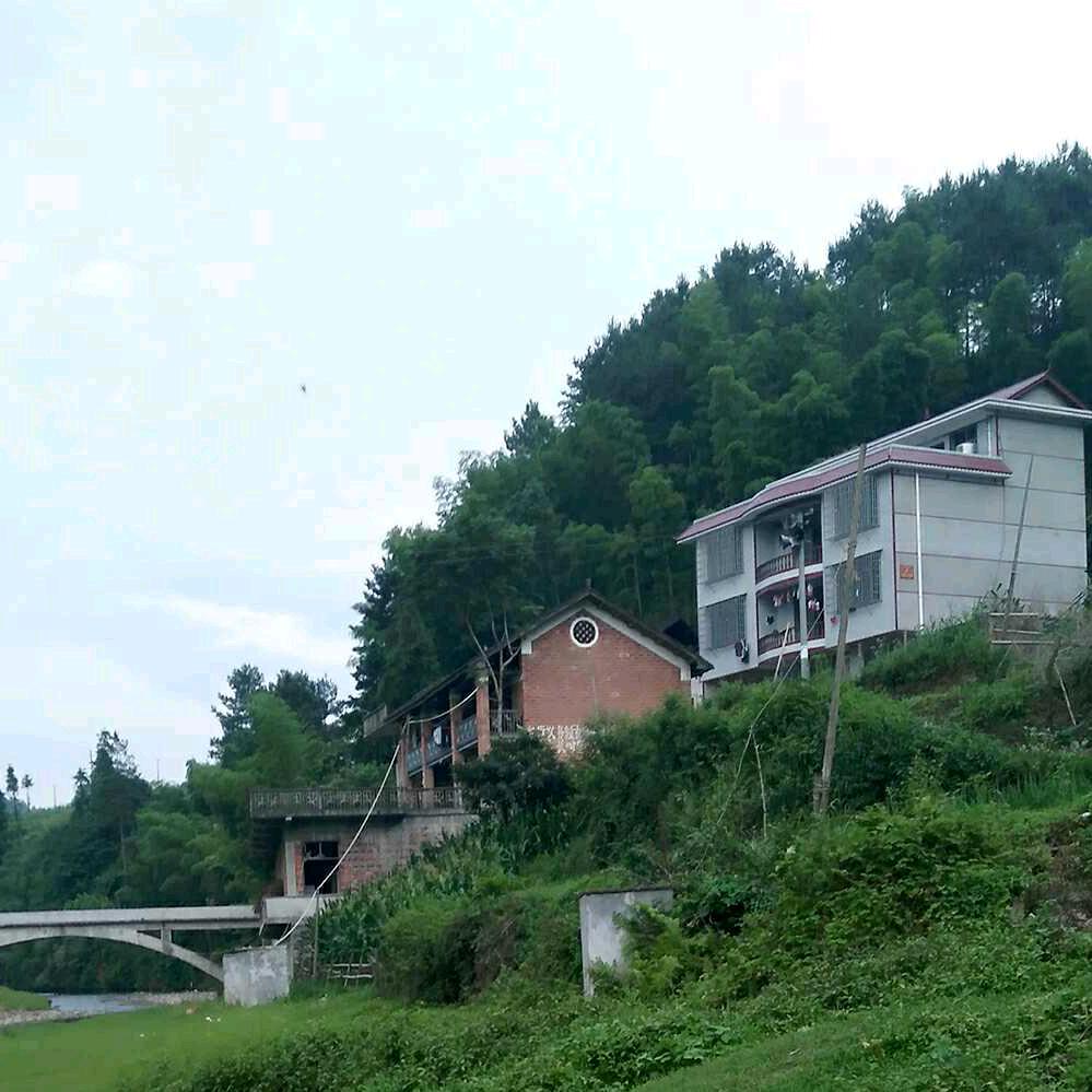 汪记松