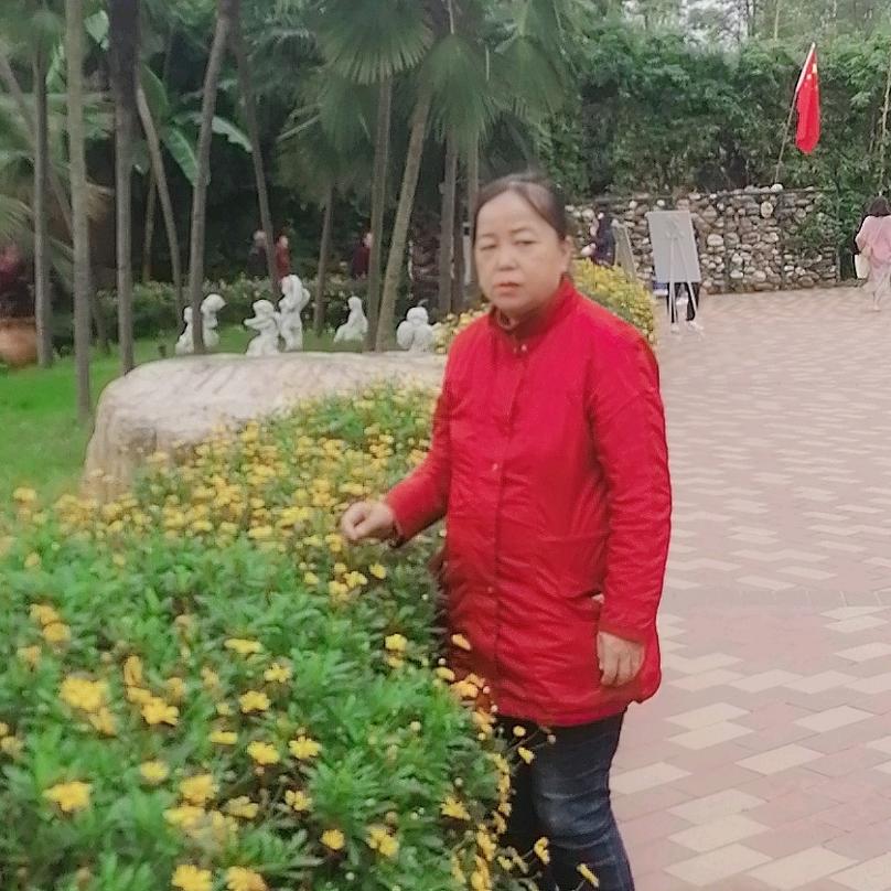 友兰
