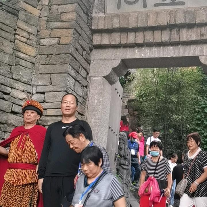 金牌志愿李老师