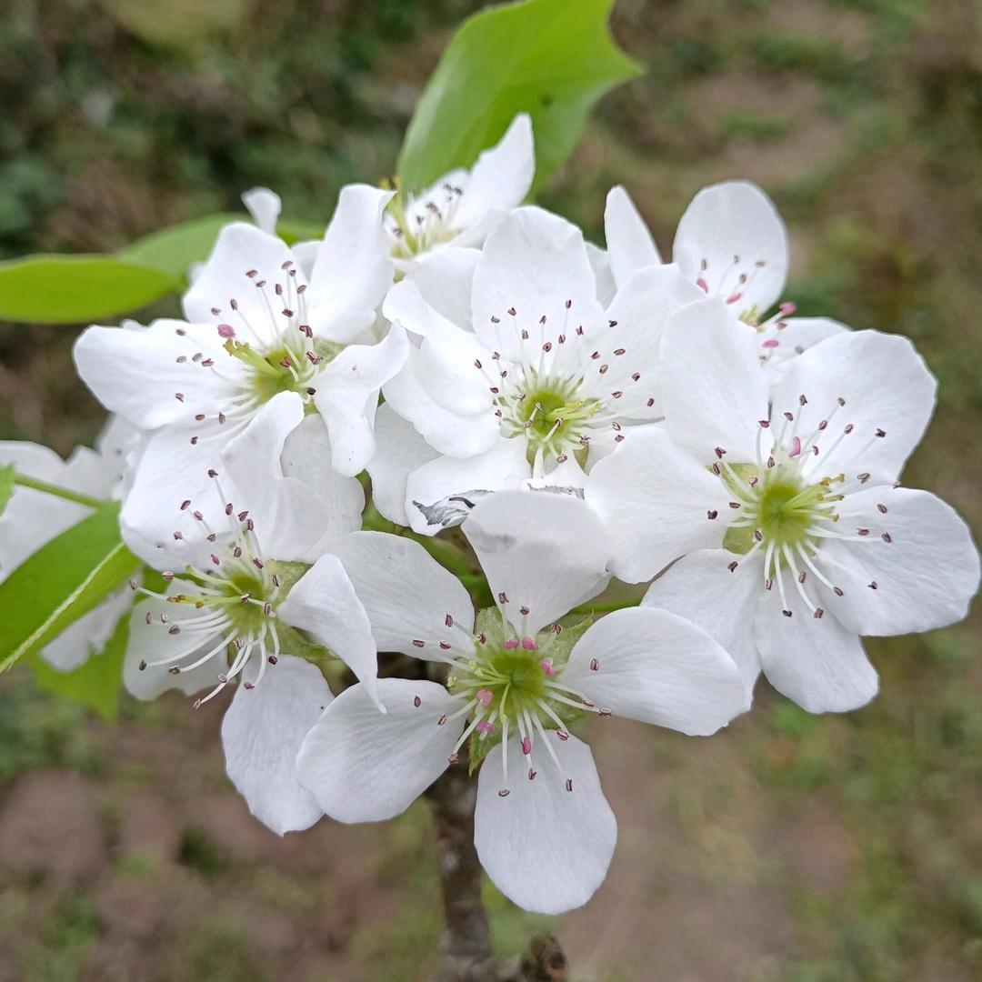 不董就装懂୧(๑•̀⌄•́๑)૭