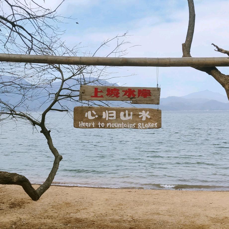 诚O_o诺