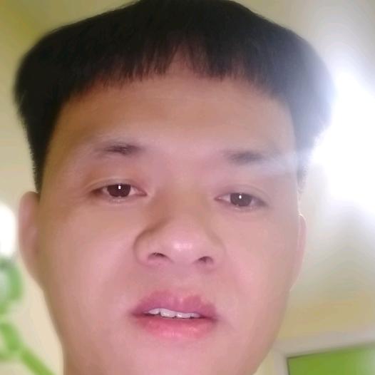 国宝熊大