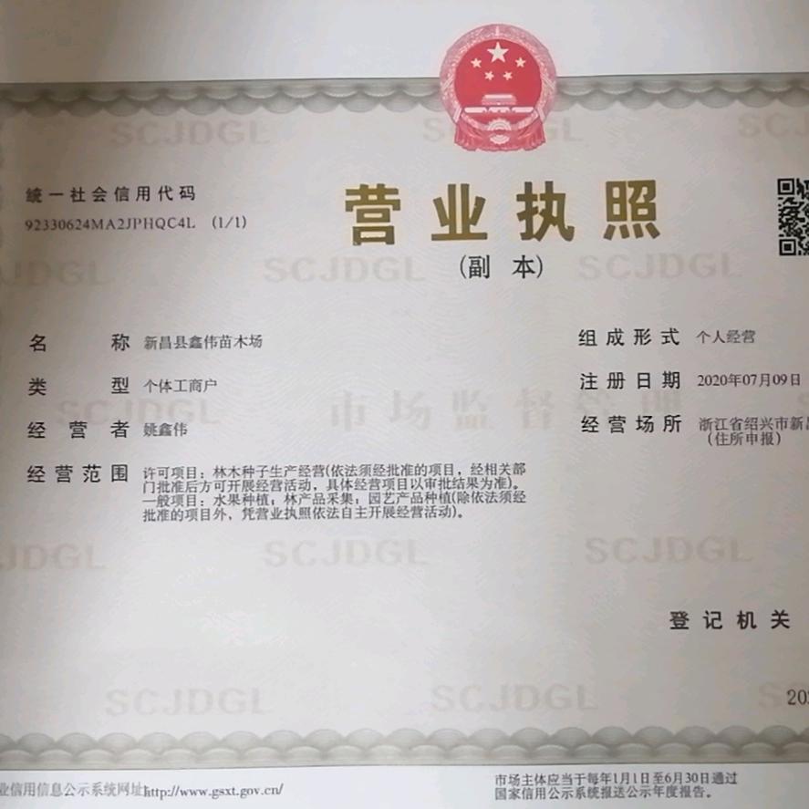 新昌县鑫伟苗木场