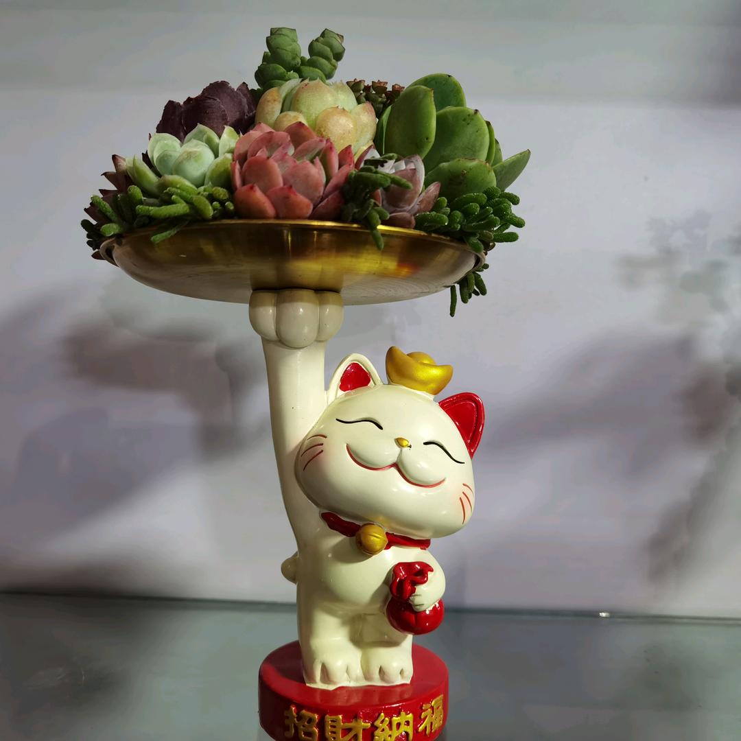 冰梅（生活不止是诗和远方）