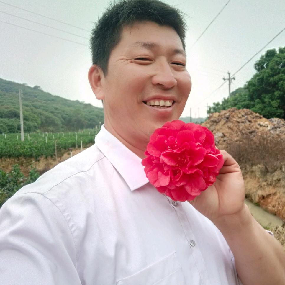 荔枝红了