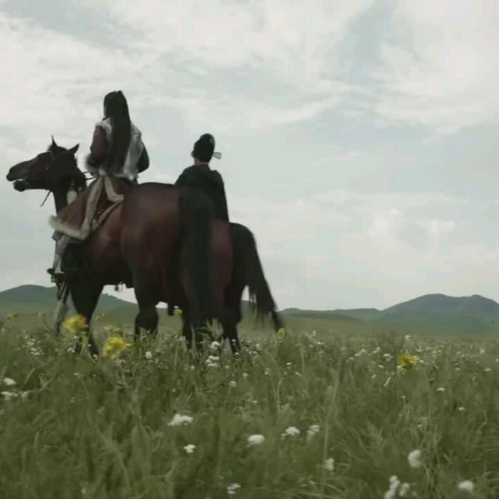 糊涂一生