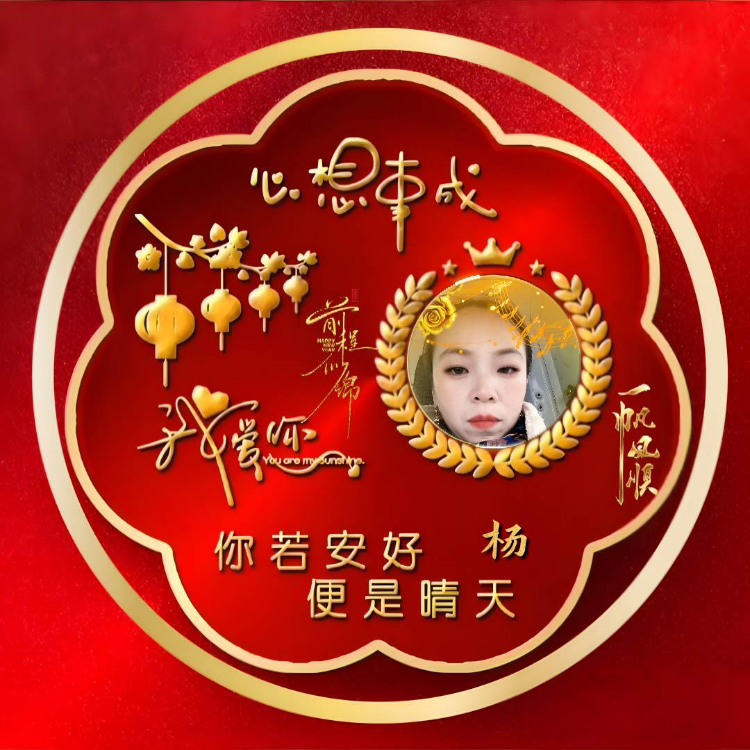 杨杨