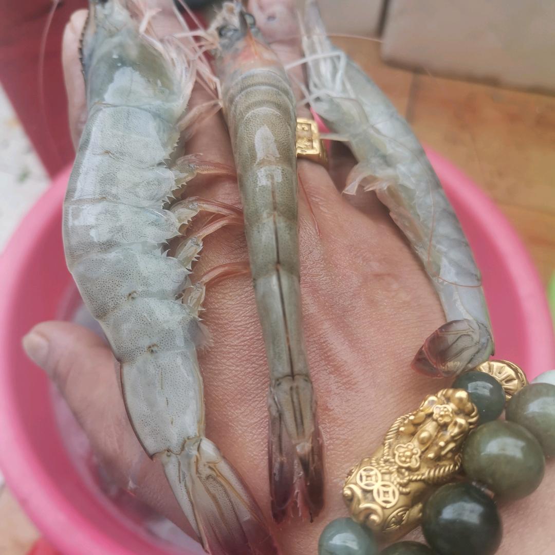 石林小宝是我