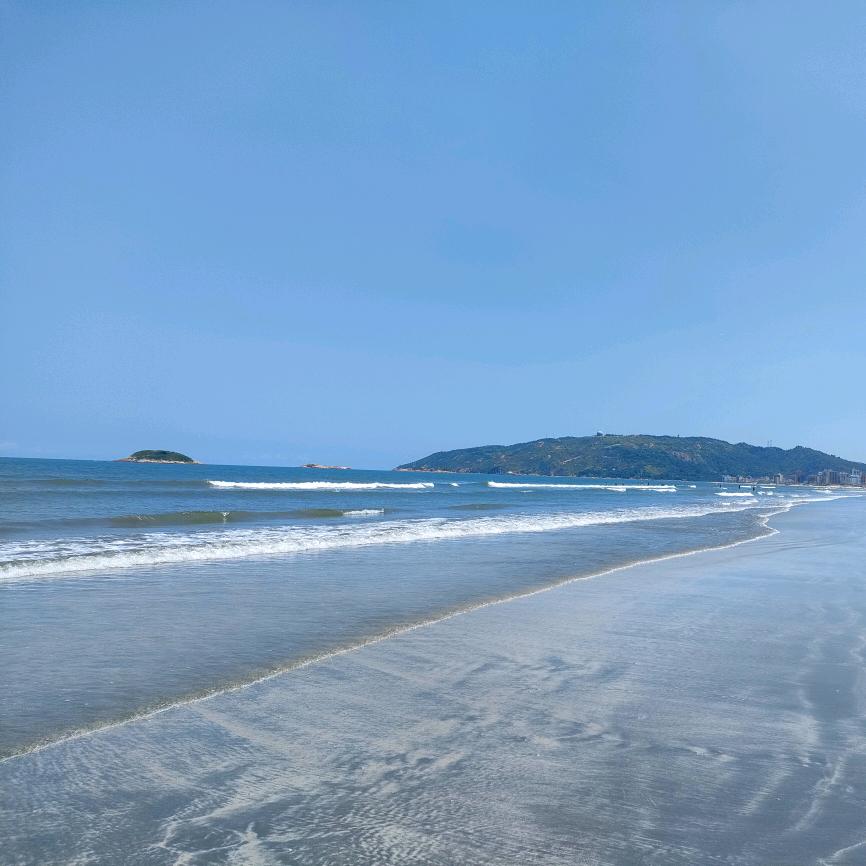 (•̀⌄•́)摘棉花