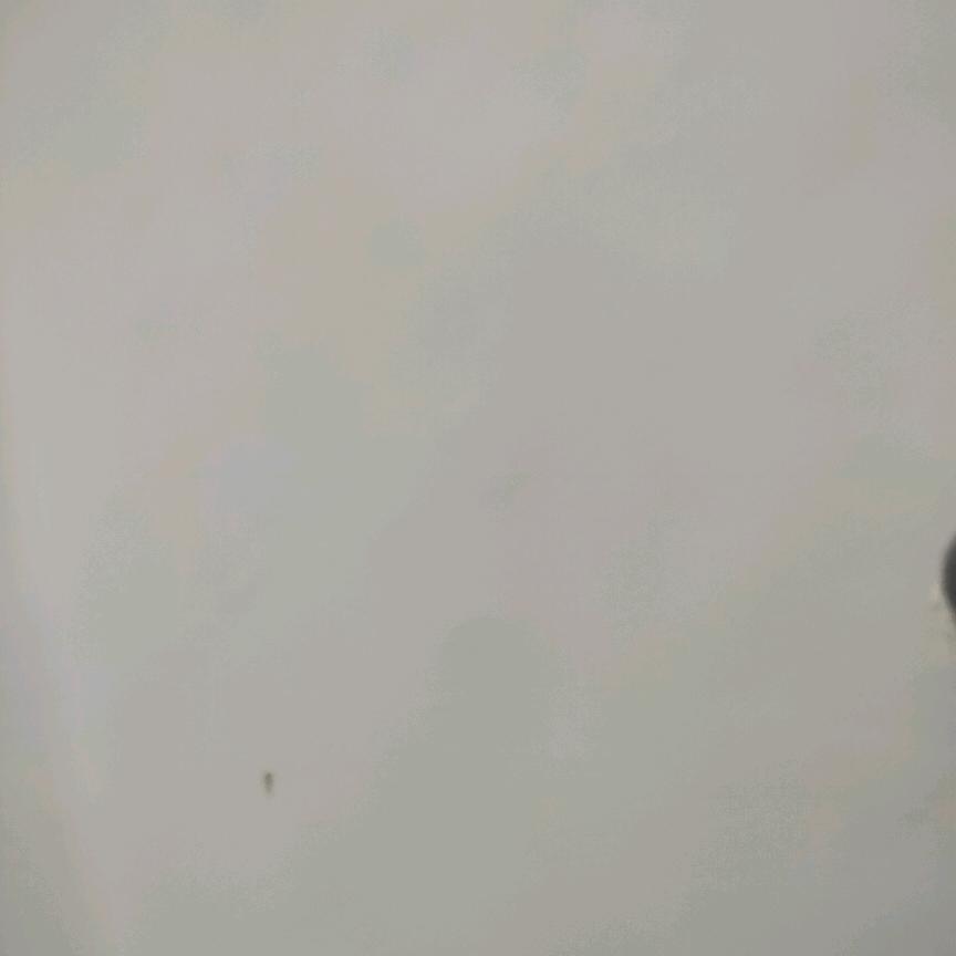 道亦有道