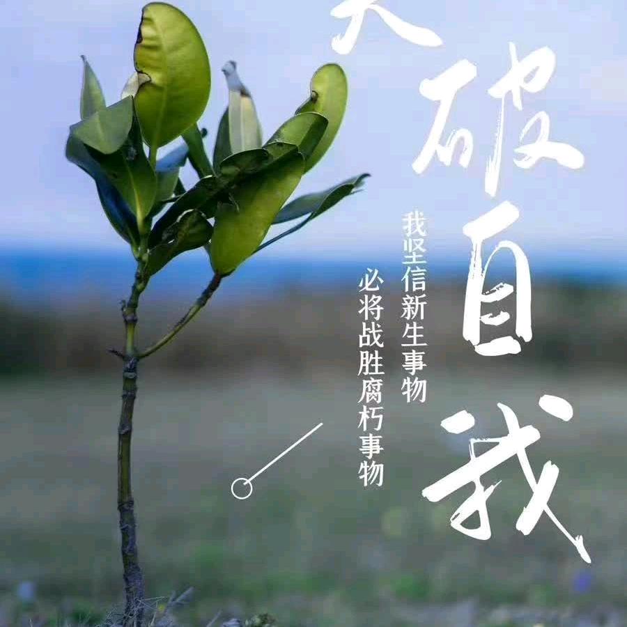 宋老头