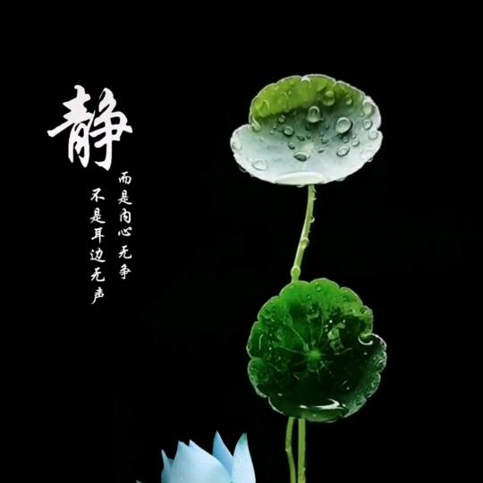沉默