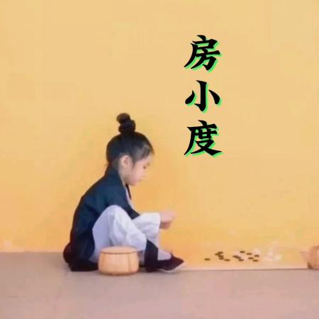 20040141
