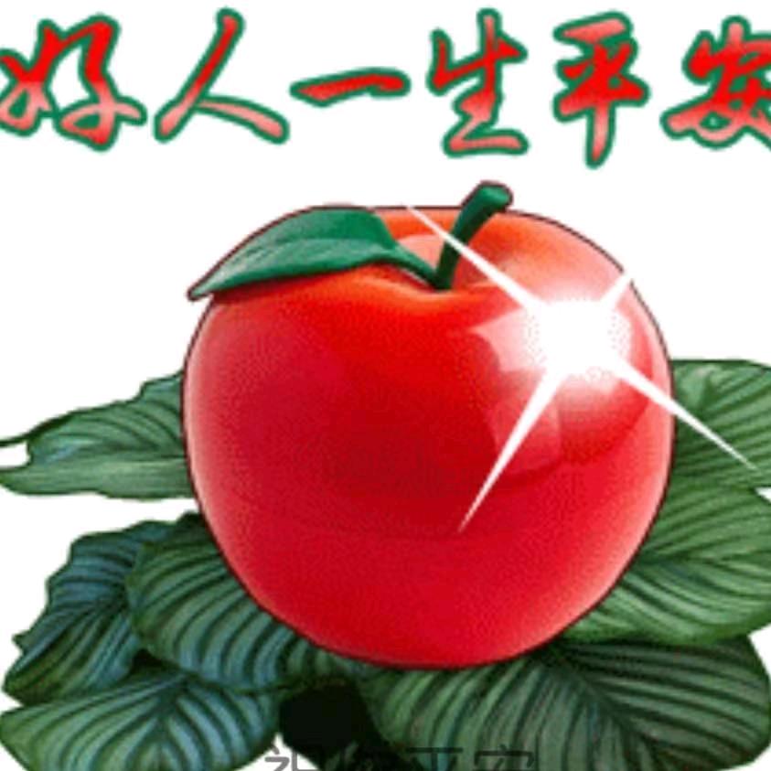 真爱无价*人生百味💕💕💕