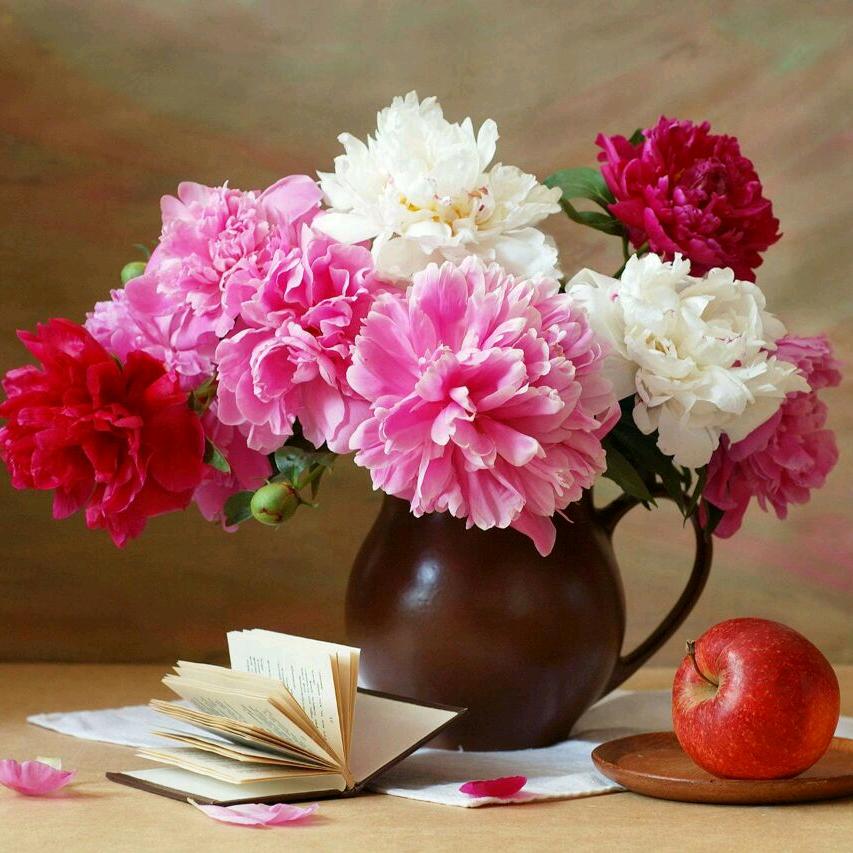 💋筱筱宝贝💋