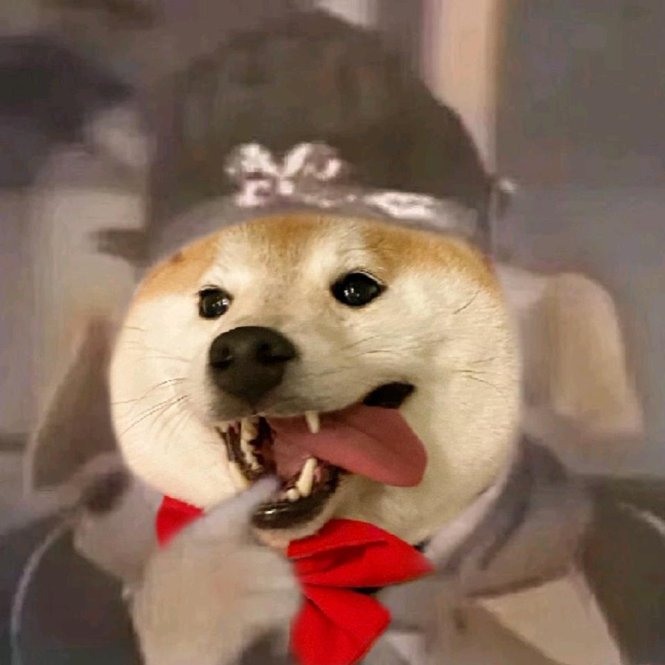 八戒八戒可爱