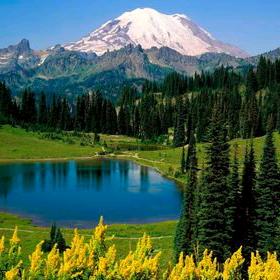 ★如月之恒，如日之升★