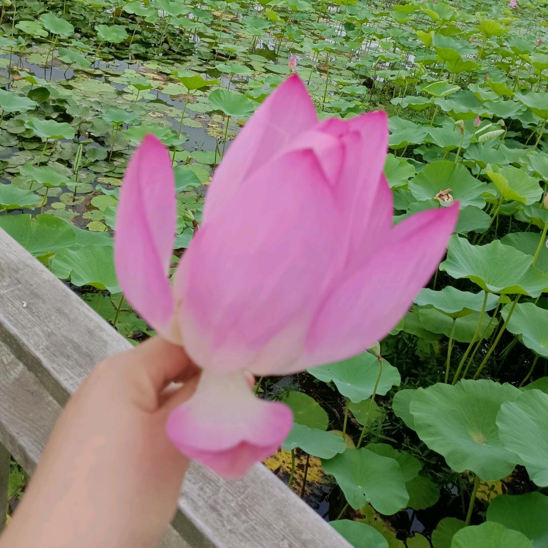 有缘人平凡