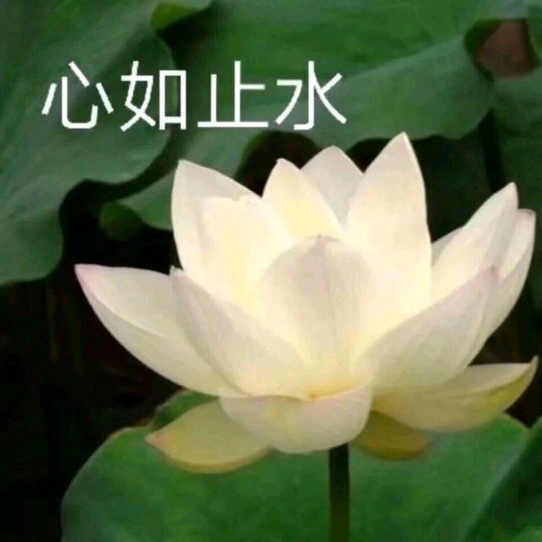 🌈吃一大碗饭.