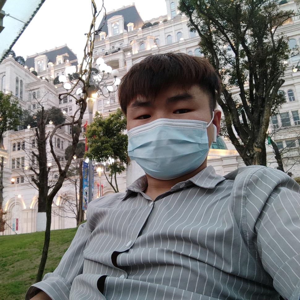 登云w