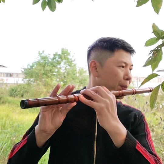 醉笛浪子