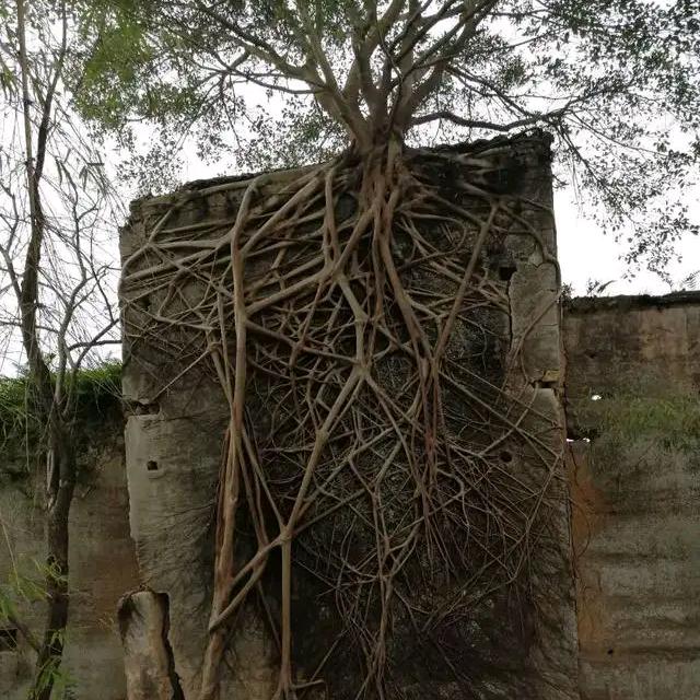 紫气东来〈萧〉