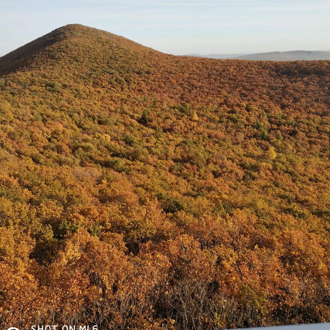 野外风景