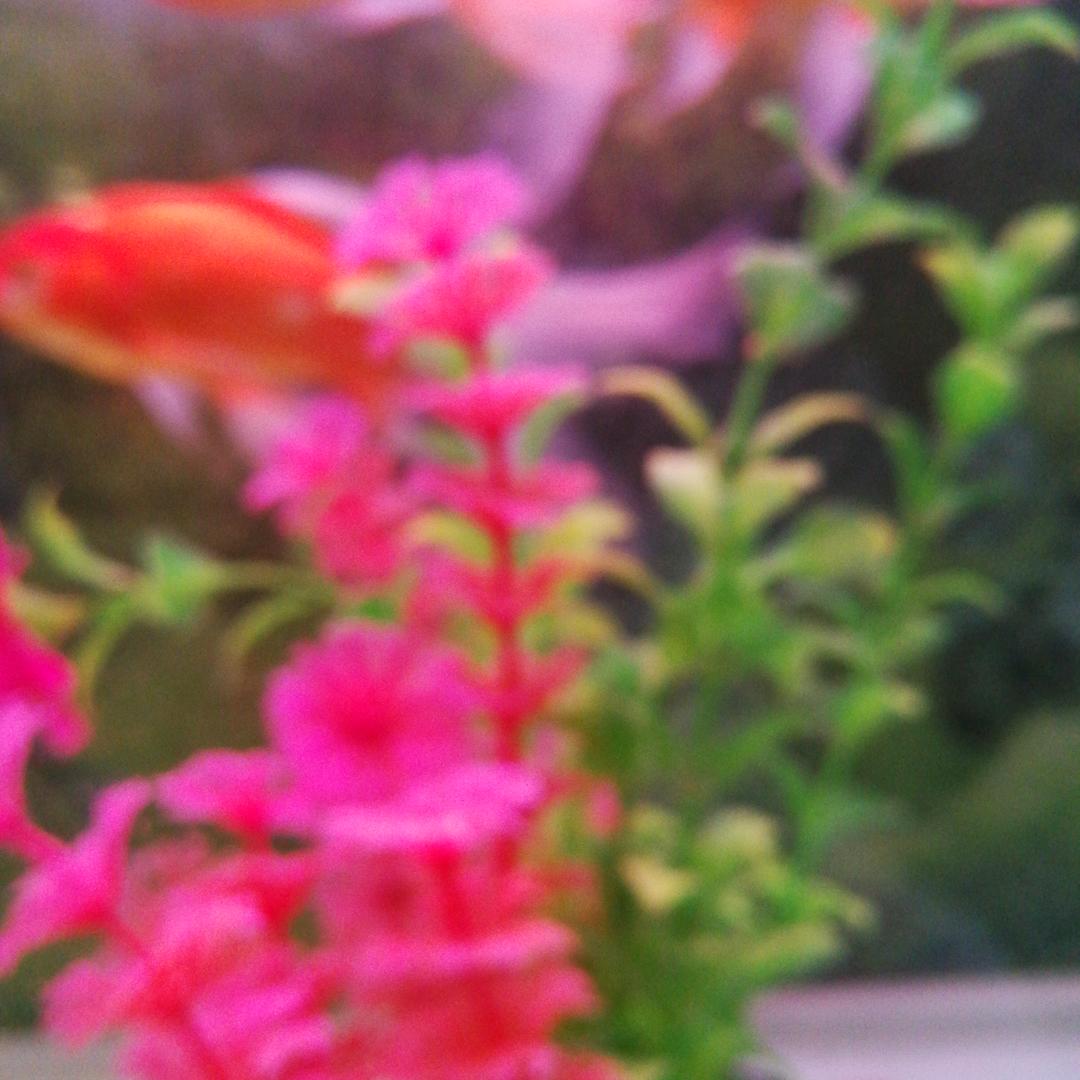 快乐大姐姐