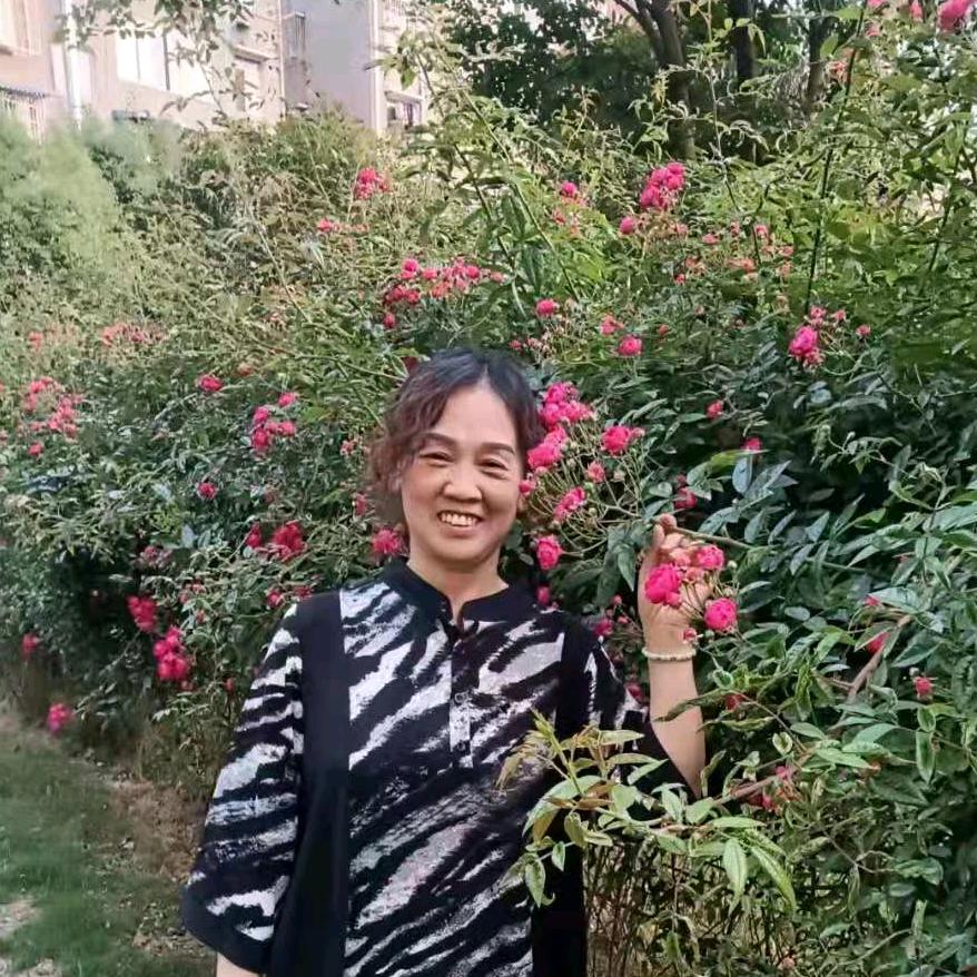 杨淑君