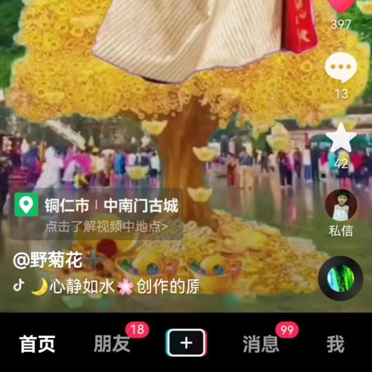 开心果旺根根
