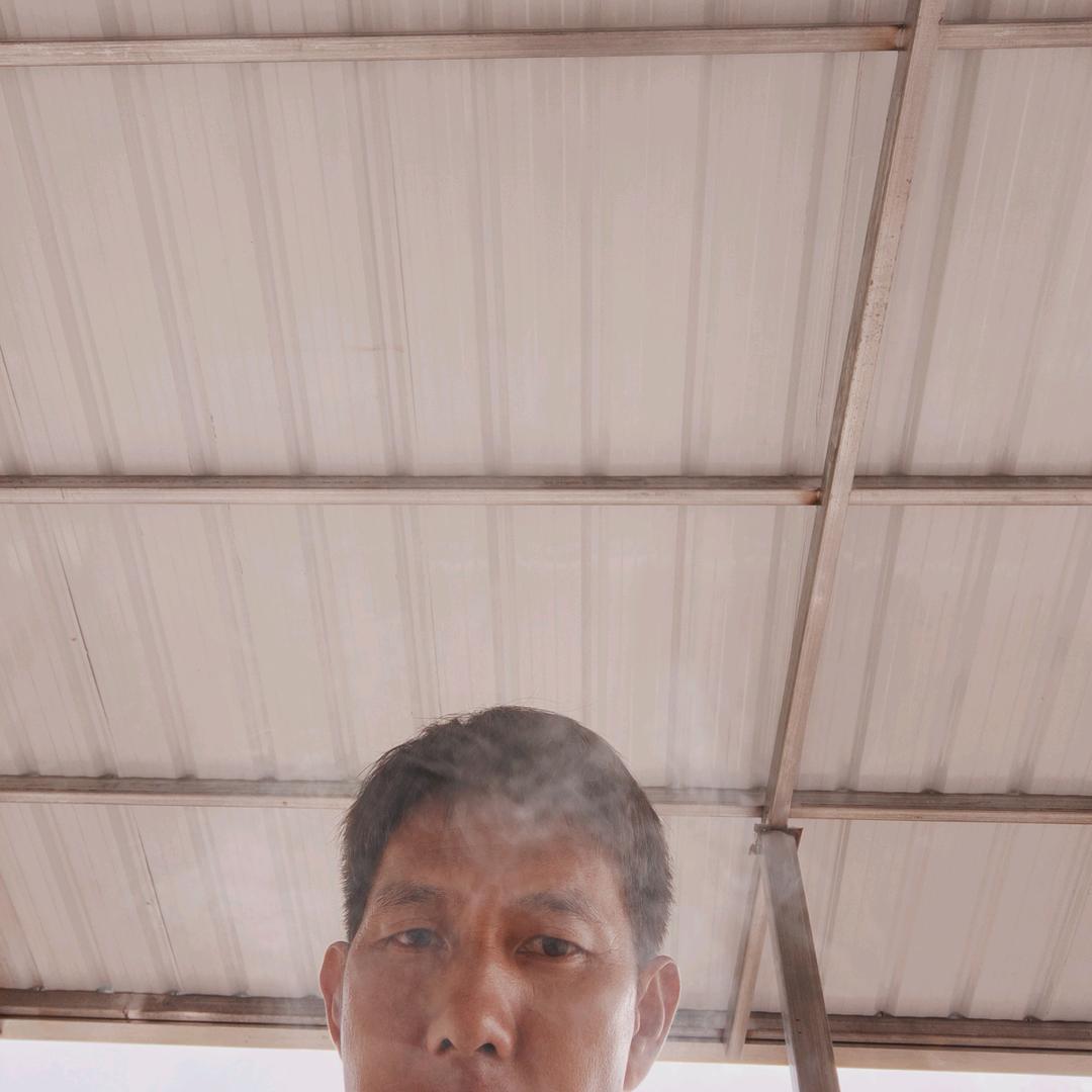 三章田，吴明春生太养猪场