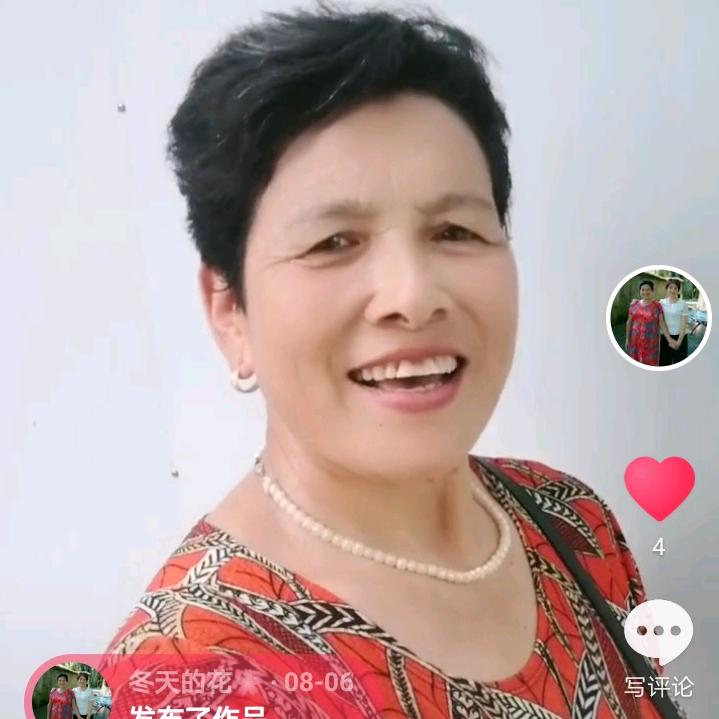冬天的花🌸