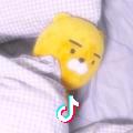 风动的眼眸