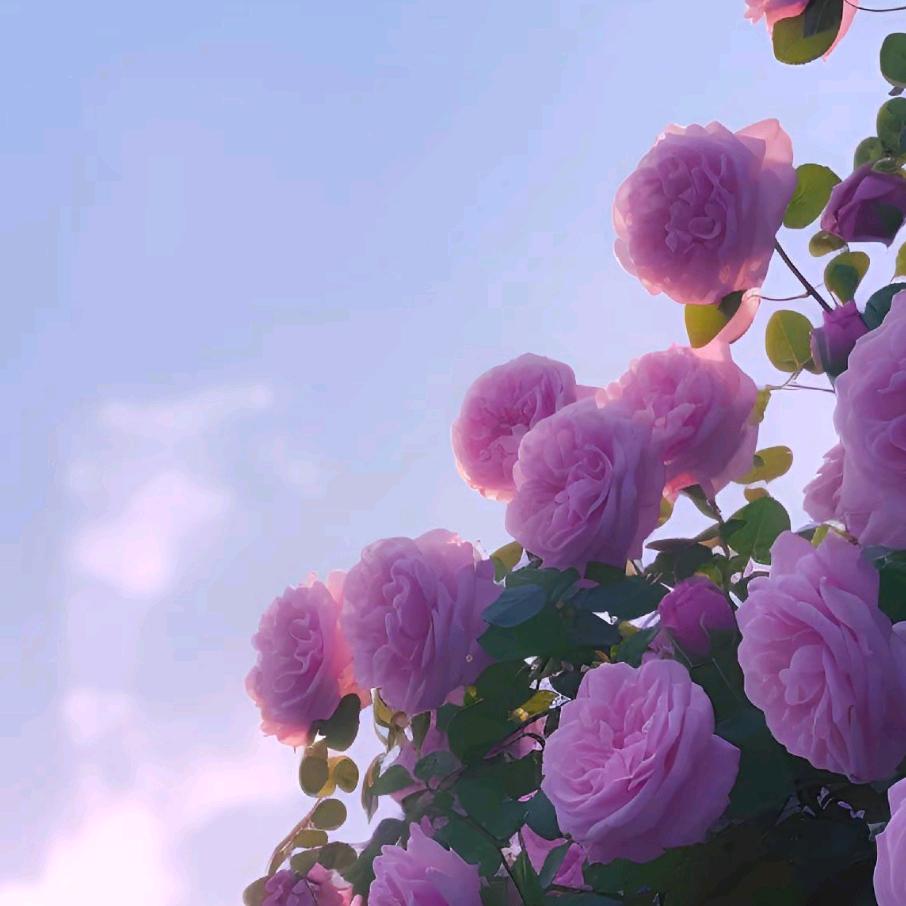 诸城纺织街中小学生校服店个体店