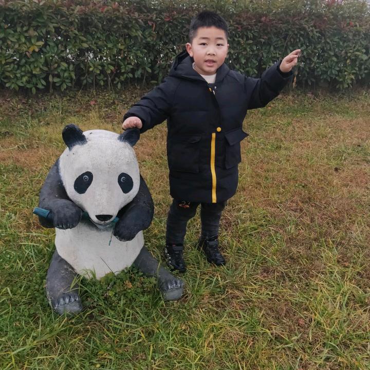 张永红