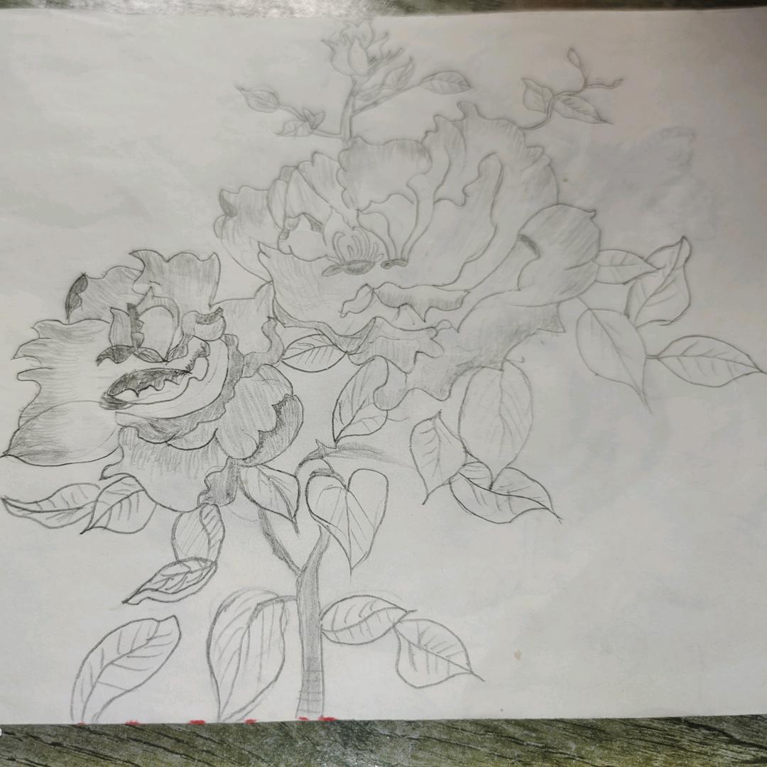 月&熙