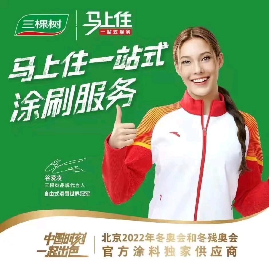 三棵树马上住艺术涂装