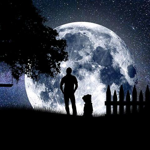 秋雨读书（人文社科）